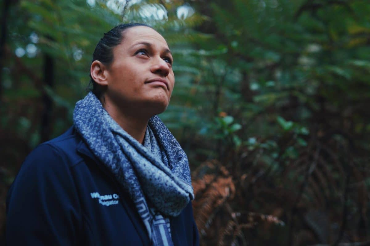 Tātai Whetū, Nav Nation
